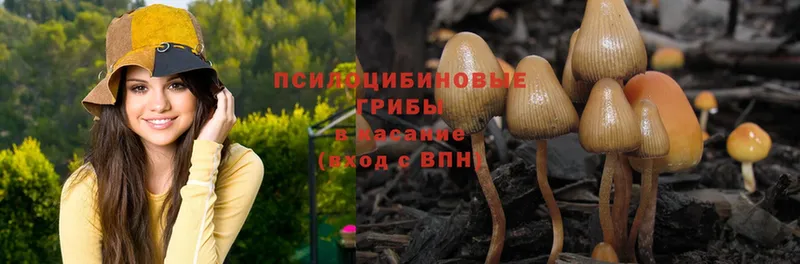 Галлюциногенные грибы MAGIC MUSHROOMS  Полтавская 